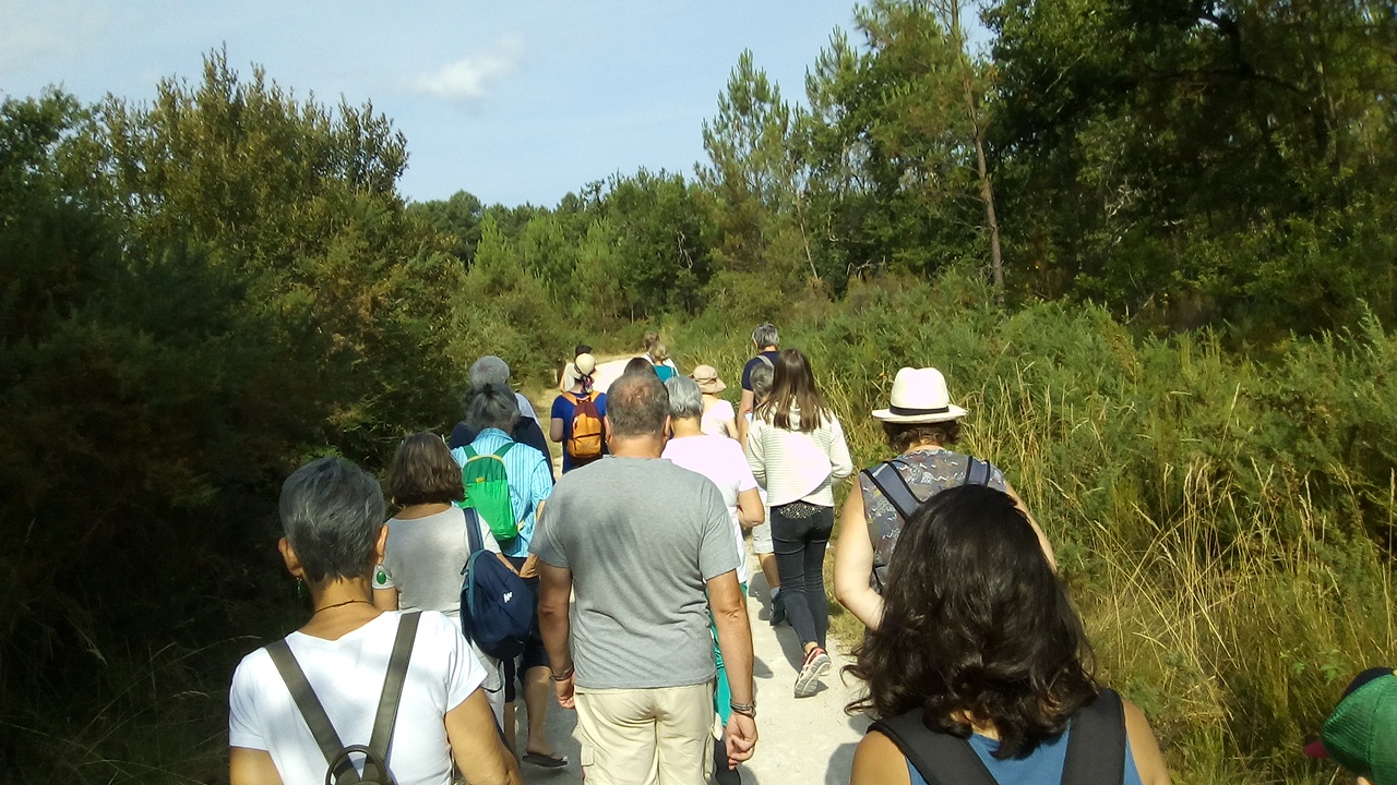 La Forêt de Migelane