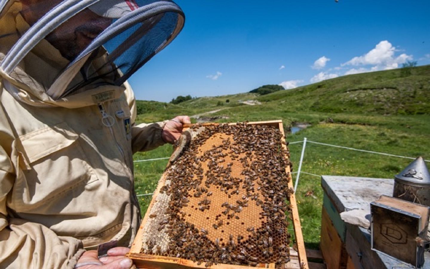 Miellerie de la Montagne Verte - photo 4