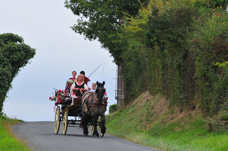 Le gîte des calèches - photo 2