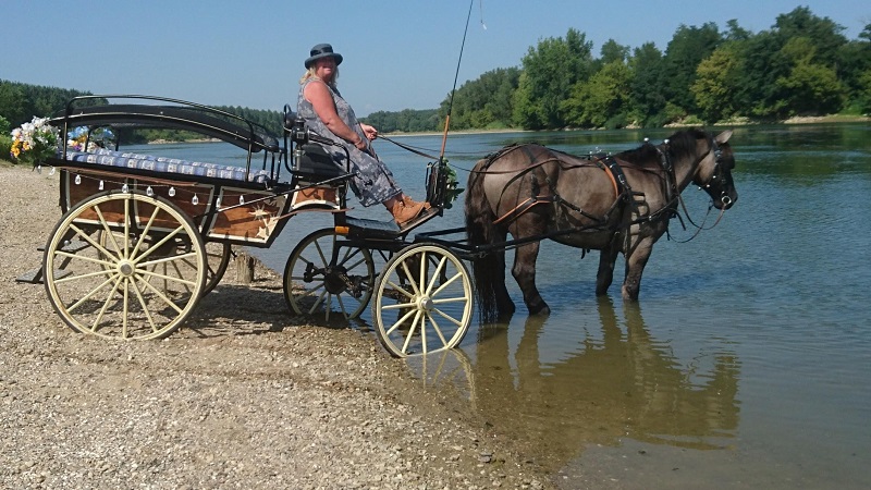 Les Calèches d'Annika - photo 3