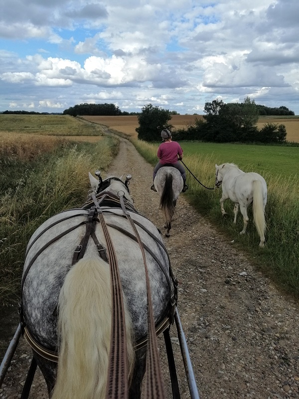 Les Calèches d'Annika