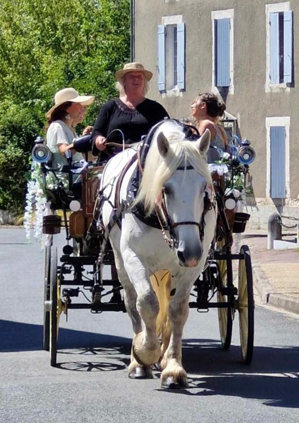 Les Calèches d'Annika — photo 3