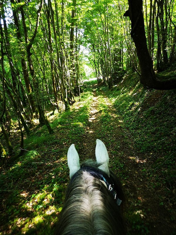 Ranch et Ferme du Saut du Loup — photo 3