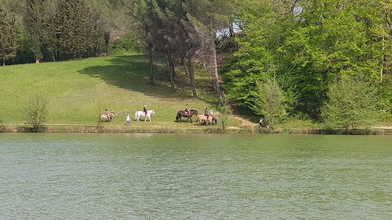 Ranch et Ferme du Saut du Loup — photo 2