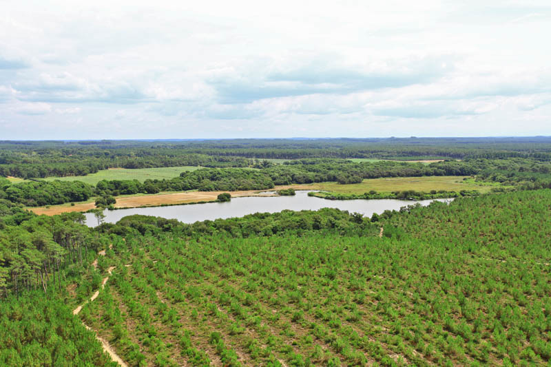 A la découverte de l'Adour Perdu, étang de Moïsan - photo 3
