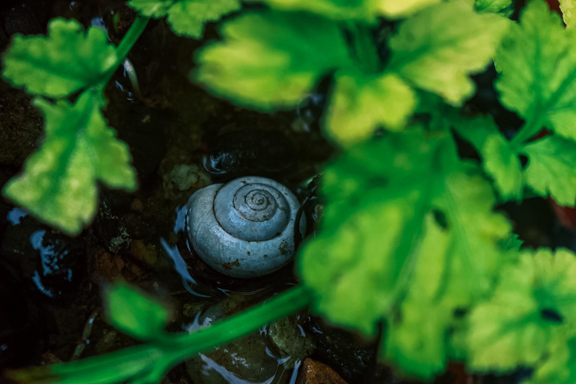 Sortie nature avec le CEN Nouvelle-Aquitaine — visuel événement