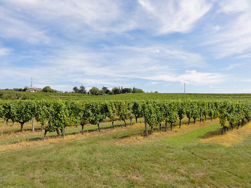 Boucle de Monbazillac, Monbazillac - photo 2