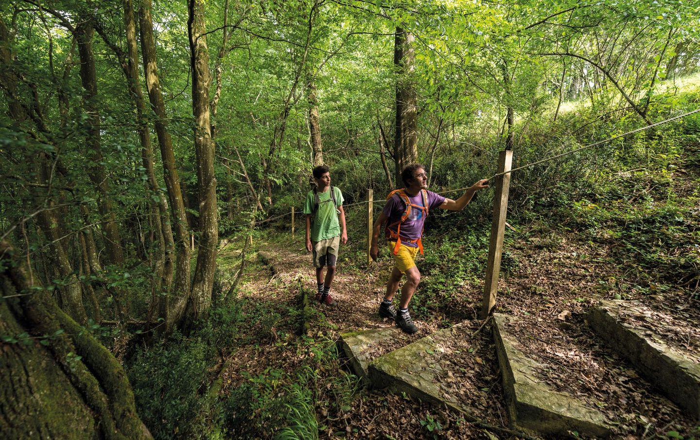 Aire de pique-nique - photo 2