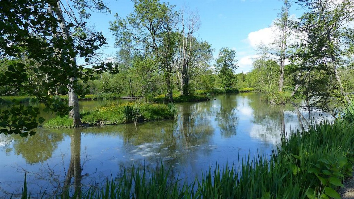 Aire naturelle de camping "Domaine des Sablières", Moncoutant-sur-Sèvre - photo 6