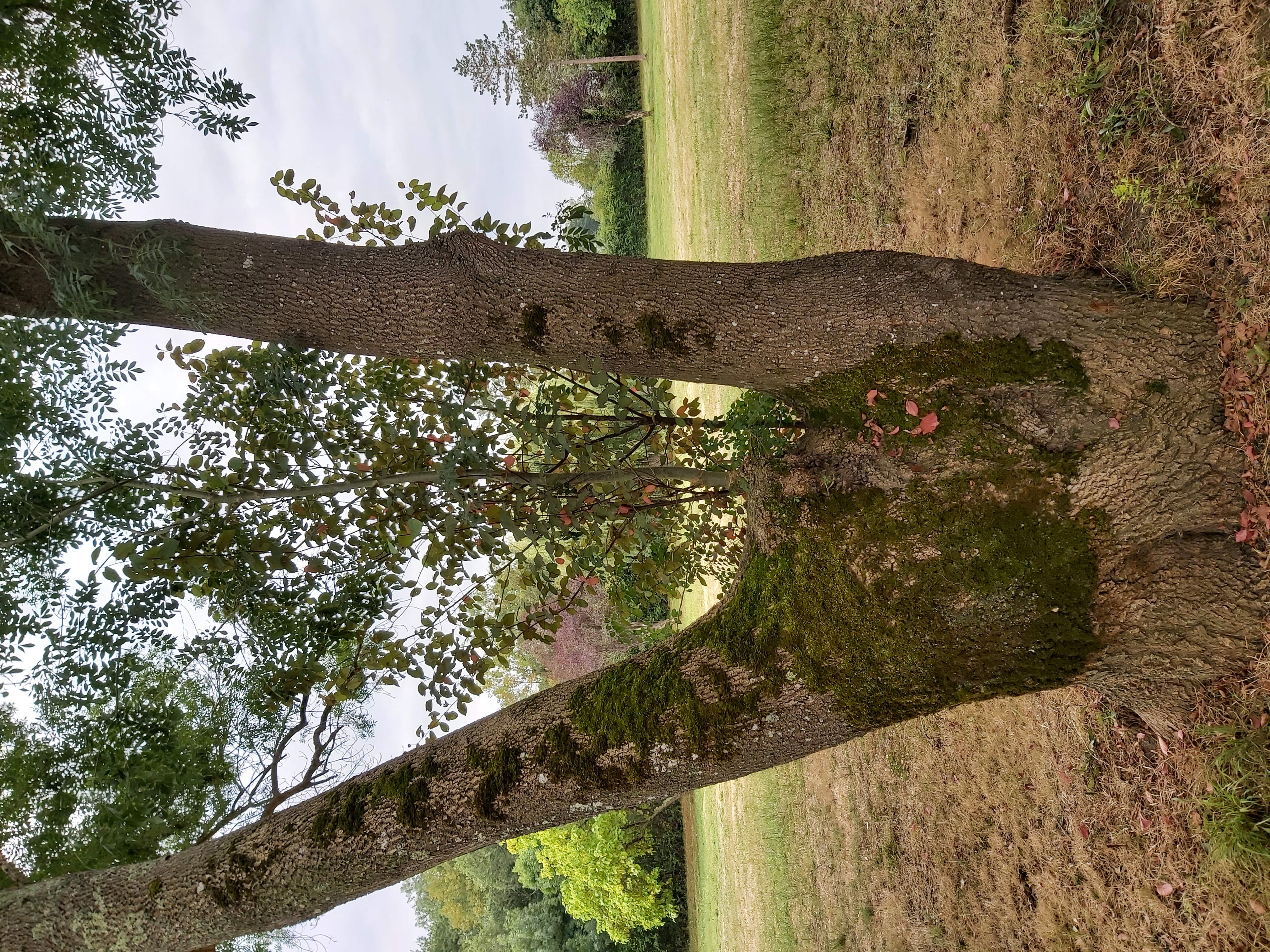 Balade à roulettes : Monségur Le Dropt — photo 2
