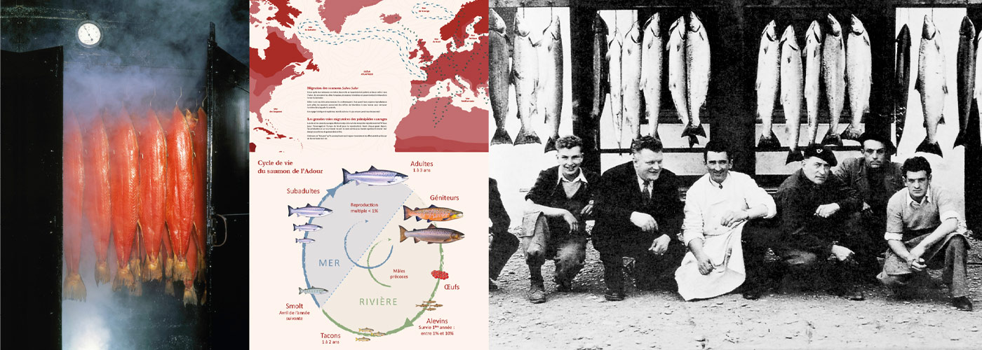 La Maison du Saumon, Peyrehorade - photo 5