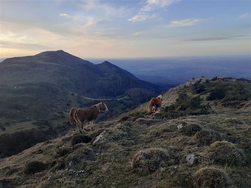 Monsieur Sylvain MATEO - BPJEPS Randonnées