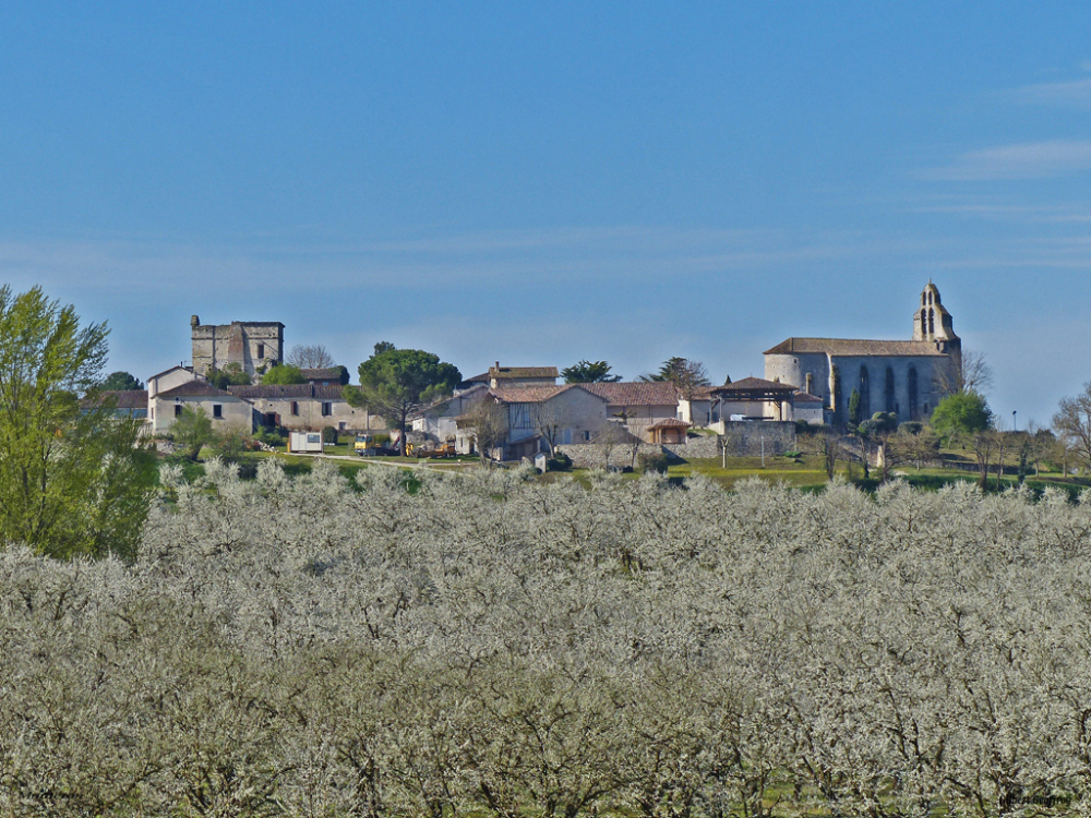 Village de Monteton, Monteton - photo 5