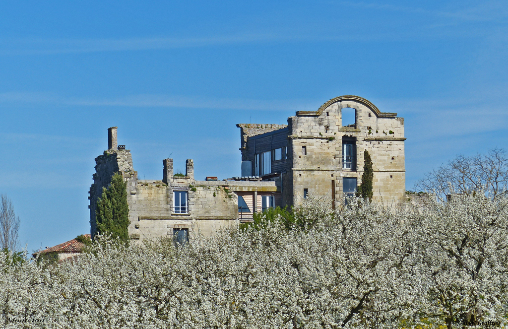 Village de Monteton, Monteton - photo 4