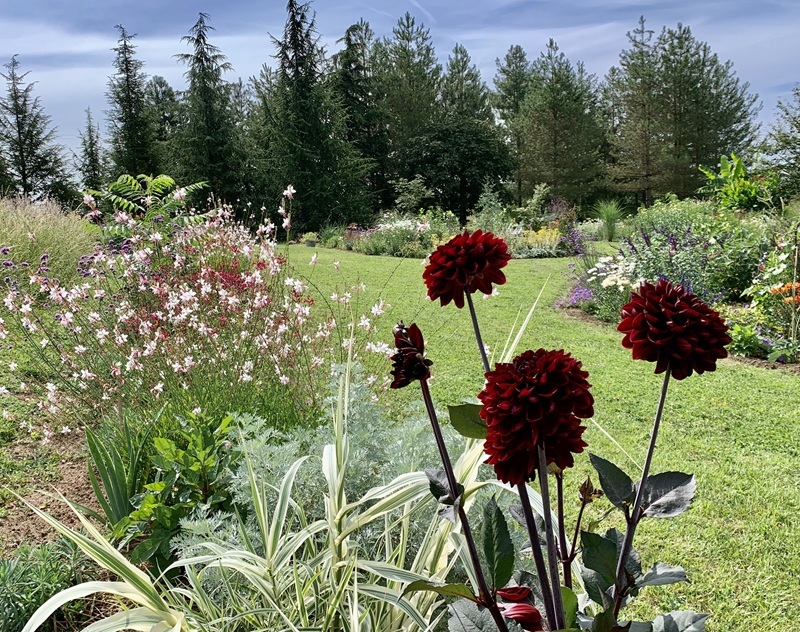 Les Jardins de Clapiéra, Montignac-de-Lauzun - photo 9