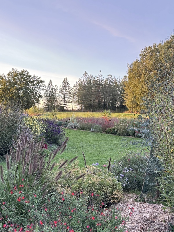Les Jardins de Clapiéra, Montignac-de-Lauzun - photo 13