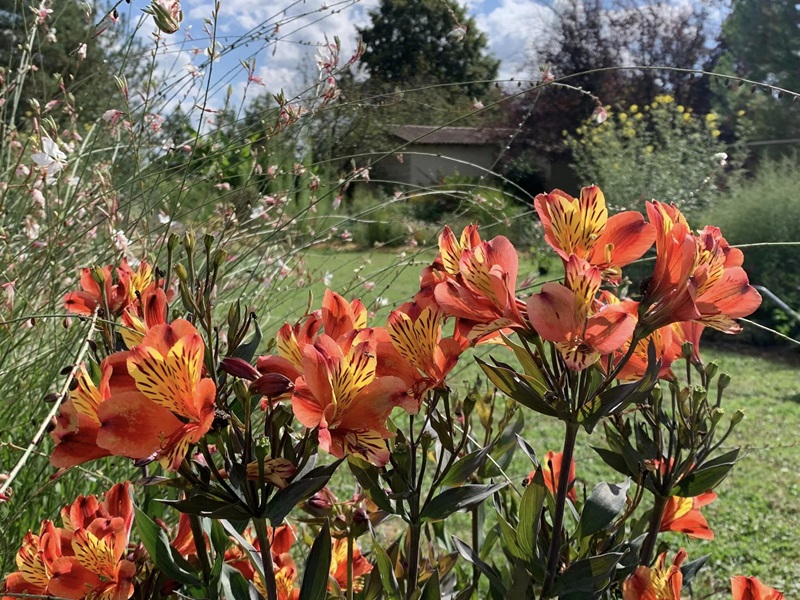 Les Jardins de Clapiéra, Montignac-de-Lauzun - photo 11
