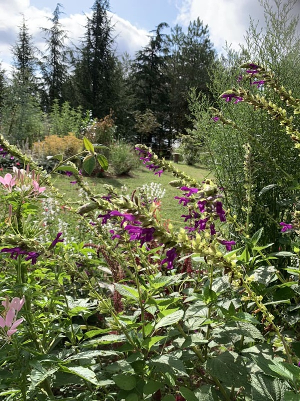 Les Jardins de Clapiéra, Montignac-de-Lauzun - photo 12