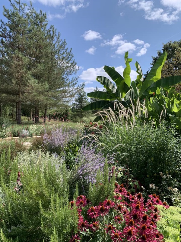 Les Jardins de Clapiéra, Montignac-de-Lauzun - photo 10