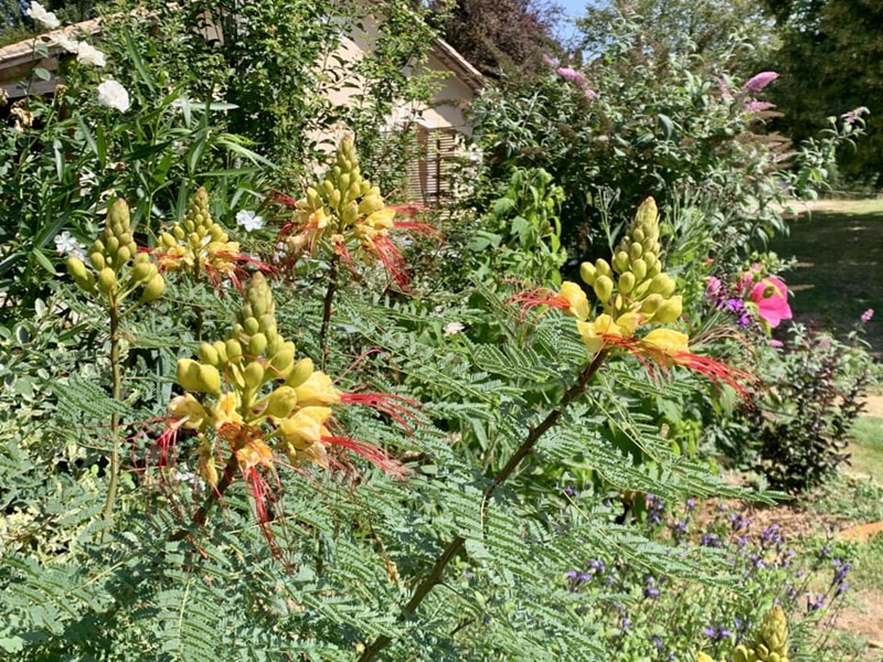 Les Jardins de Clapiéra, Montignac-de-Lauzun - photo 5