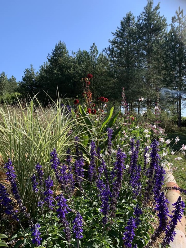 Les Jardins de Clapiéra, Montignac-de-Lauzun - photo 7