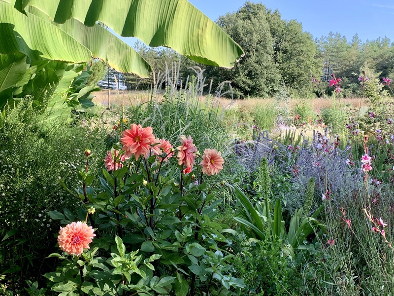 Les Jardins de Clapiéra, Montignac-de-Lauzun - photo 4