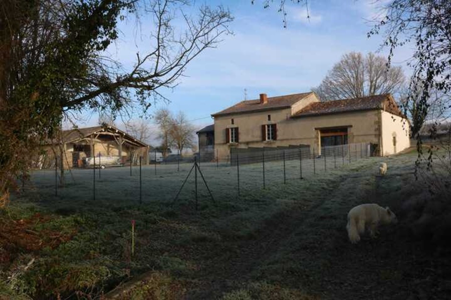 La Casa Prunella - photo 5