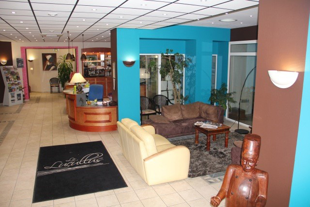 Le Lucullus Hôtel de France, Montmorillon - photo 7