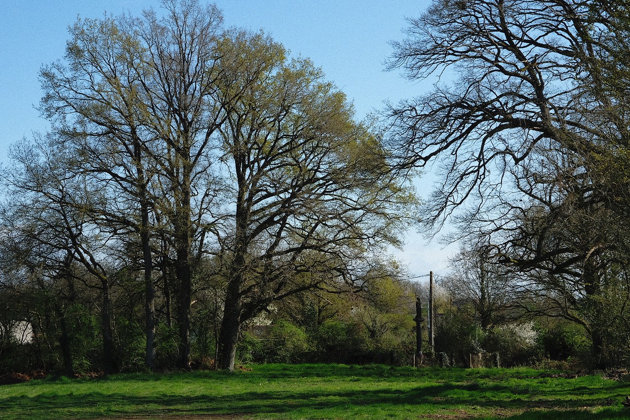 Gîte L'Etable - Domaine de la Louisière, Montravers - photo 23