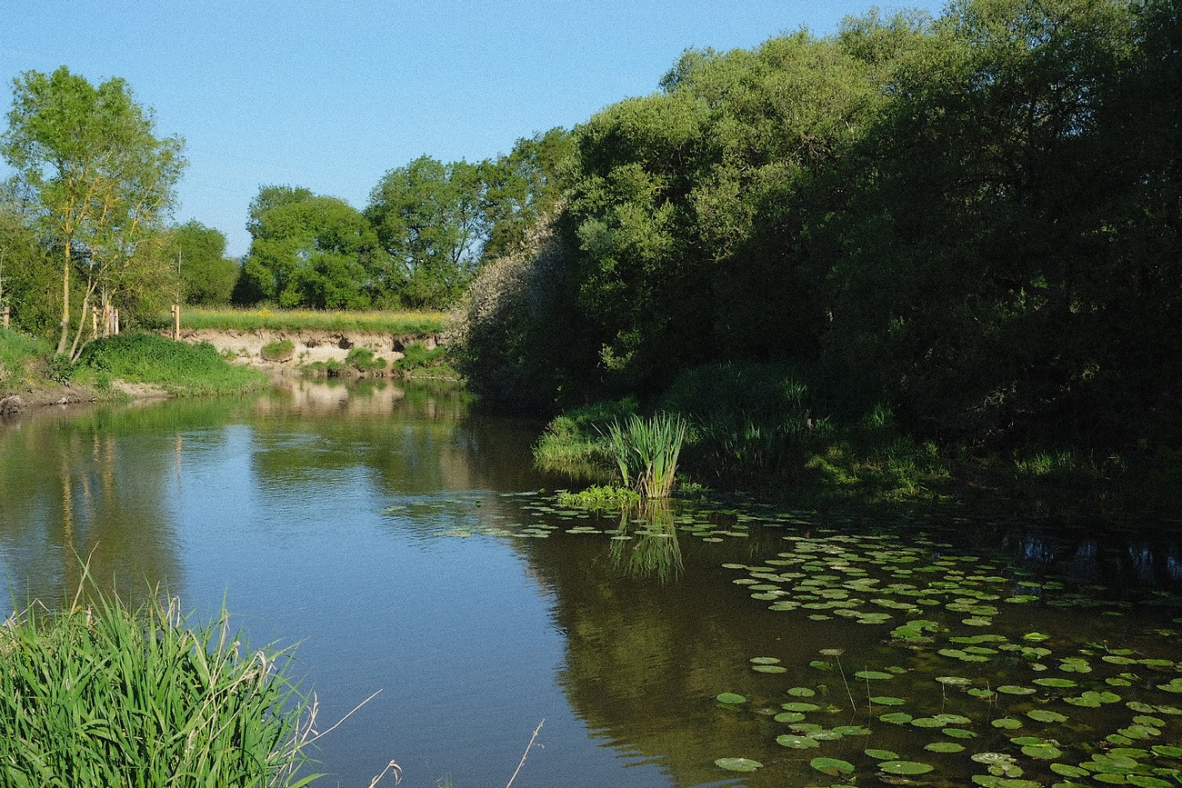 Gîte L'Etable - Domaine de la Louisière, Montravers - photo 11