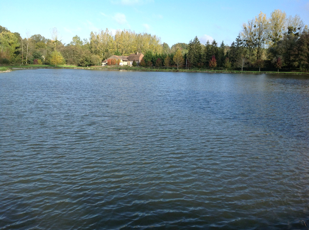 Etang du Roy, Boivre-la-Vallée - photo 4