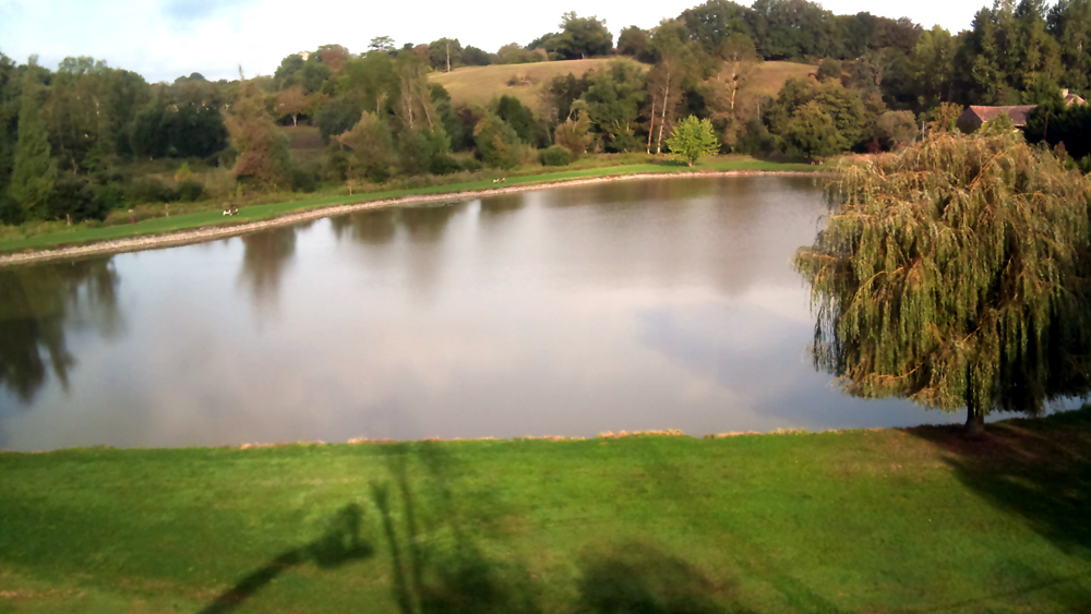 Etang du Roy, Boivre-la-Vallée - photo 3