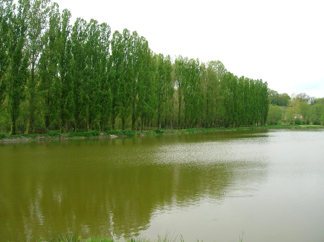 Etang du Roy, Boivre-la-Vallée