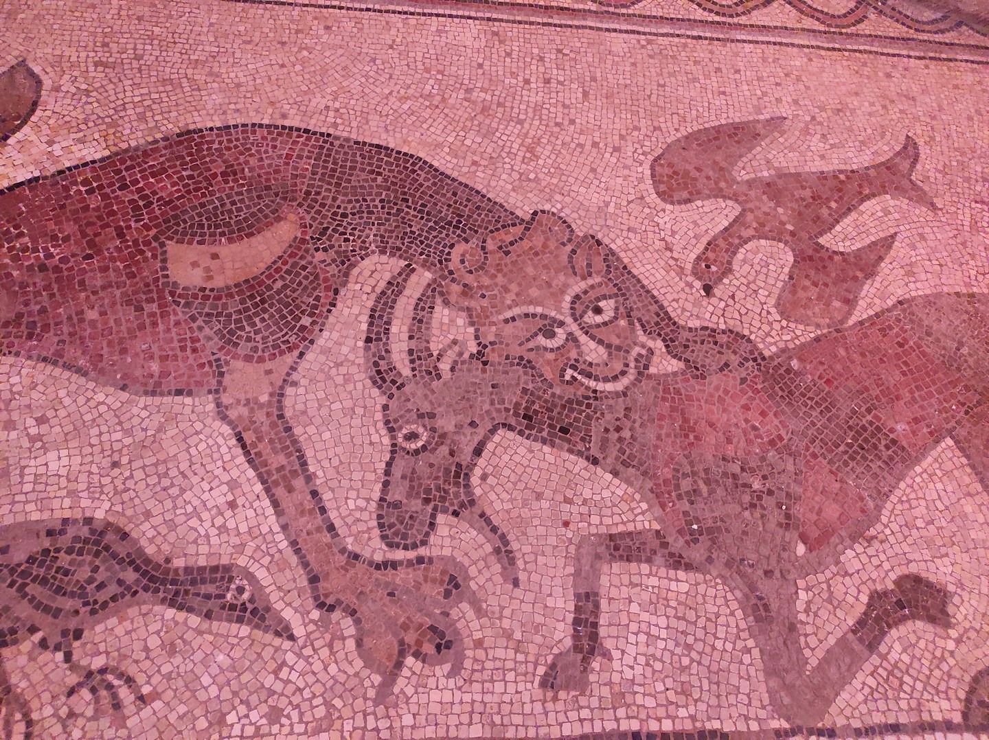 Mosaïque de la Cathédrale de Lescar, Lescar