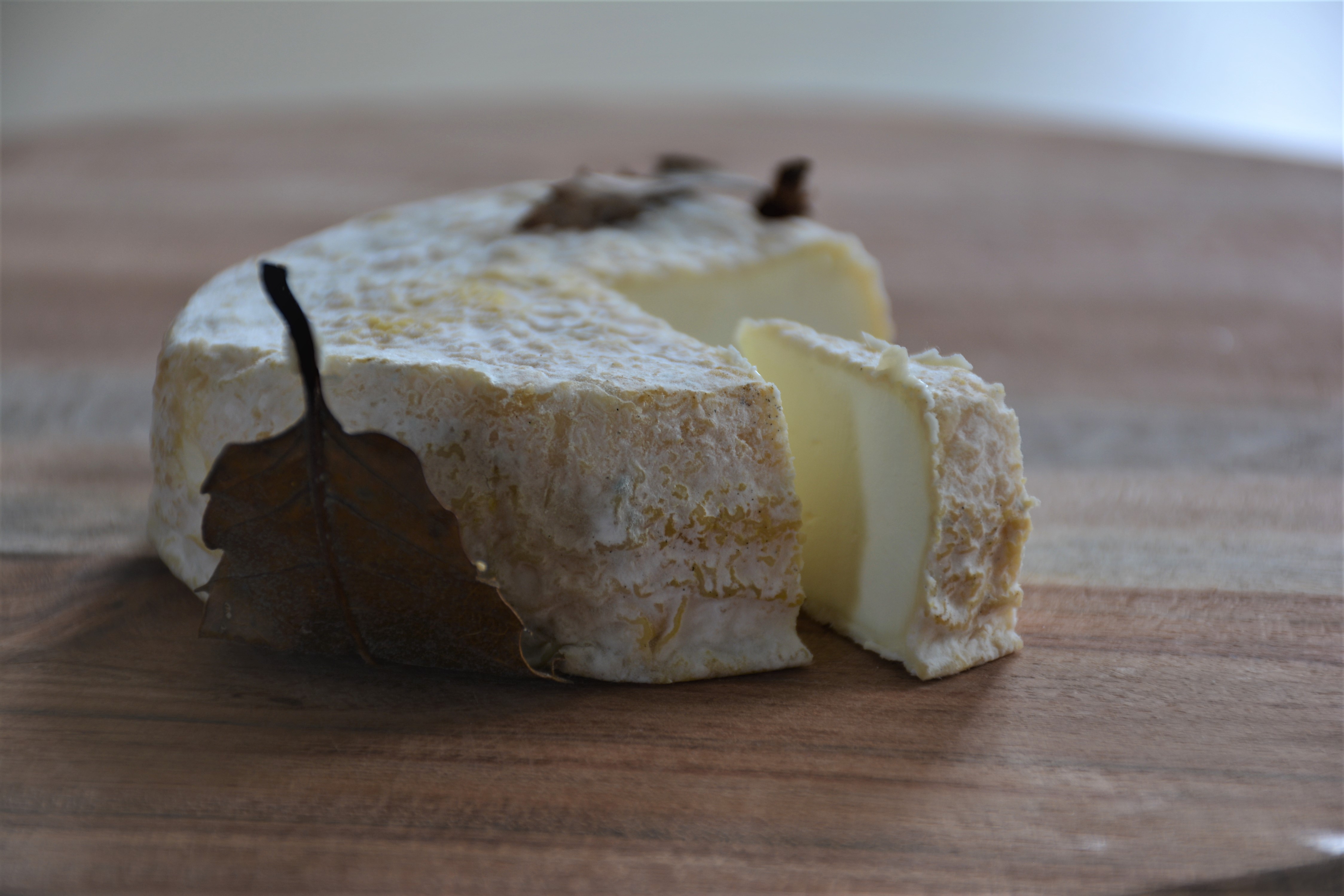 Maison des Fromages de Chèvre, Celles-sur-Belle - photo 2