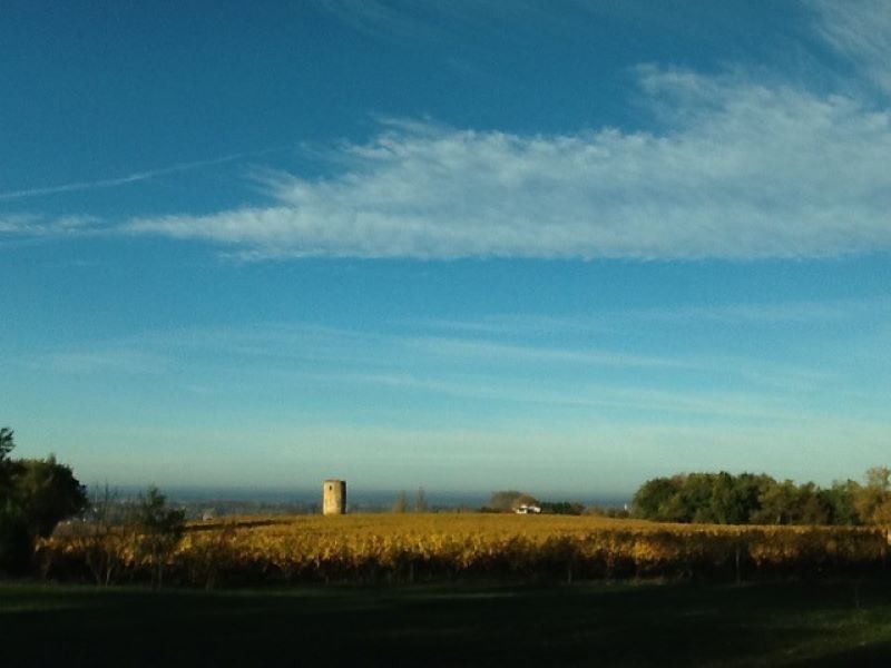 Château La Bertrande — photo 3