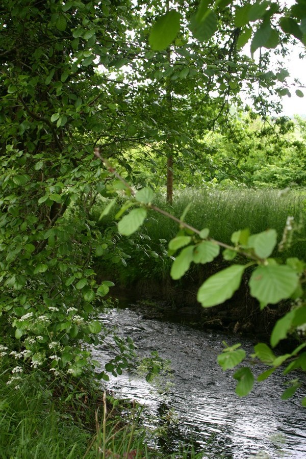Moulin d'Acquit, Grignols - photo 6