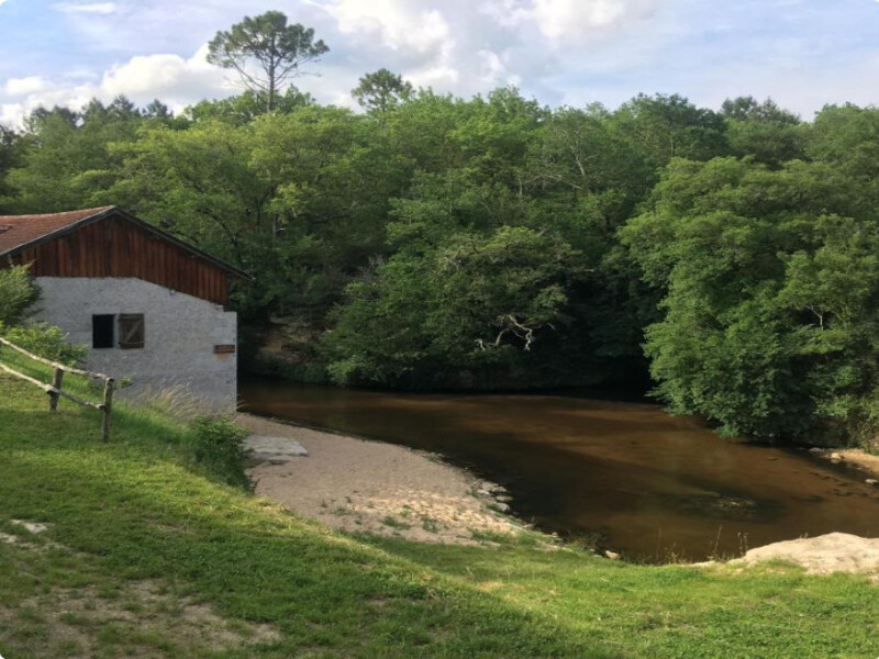Visite exceptionnelle du moulin de Caussarieu — visuel événement