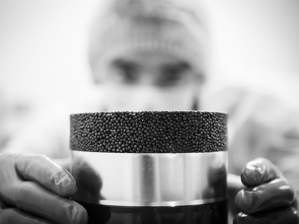 Les secrets du caviar : visite d'une esturgeonnière, Biganos - photo 4