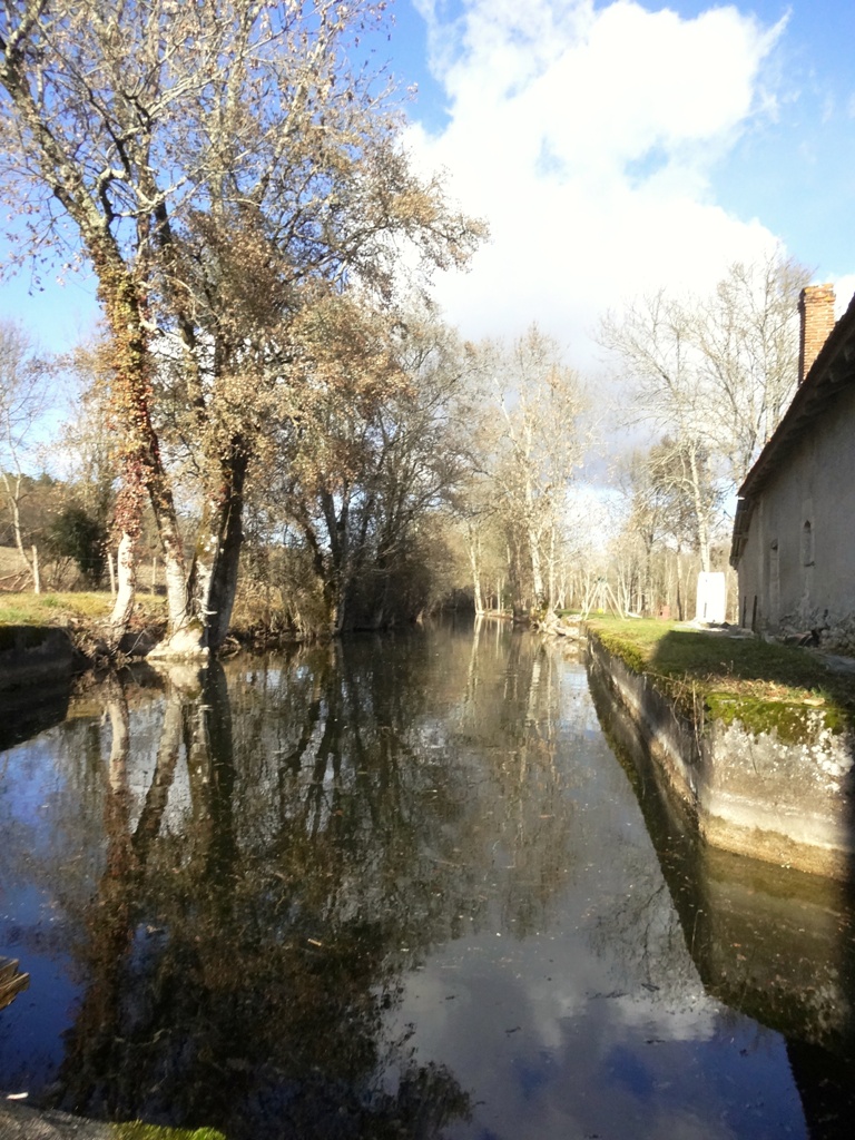 Gaufres et huile de noix du Moulin de Landry - photo 3