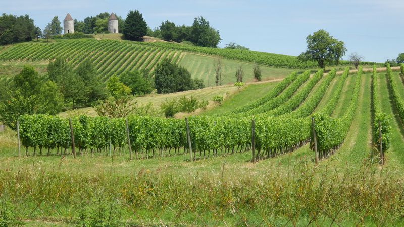 Moulins de Boisse - photo 4
