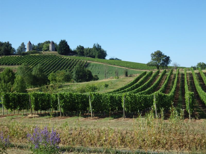 Moulins de Boisse - photo 5