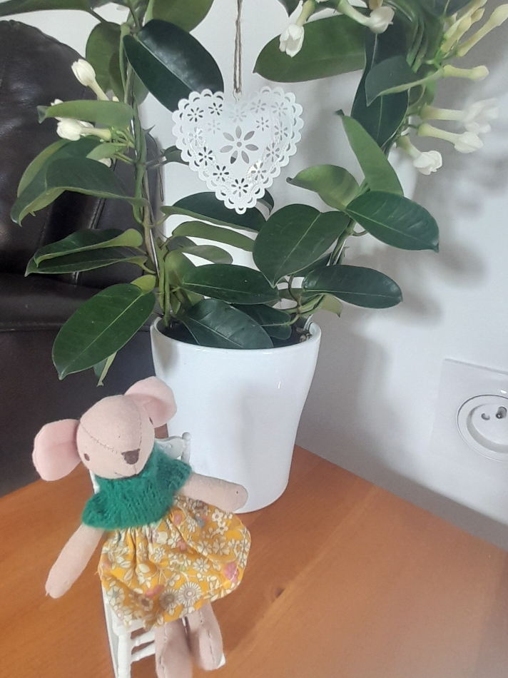 La Souris Verte - Aux coeurs joyeux, Videix - photo 3