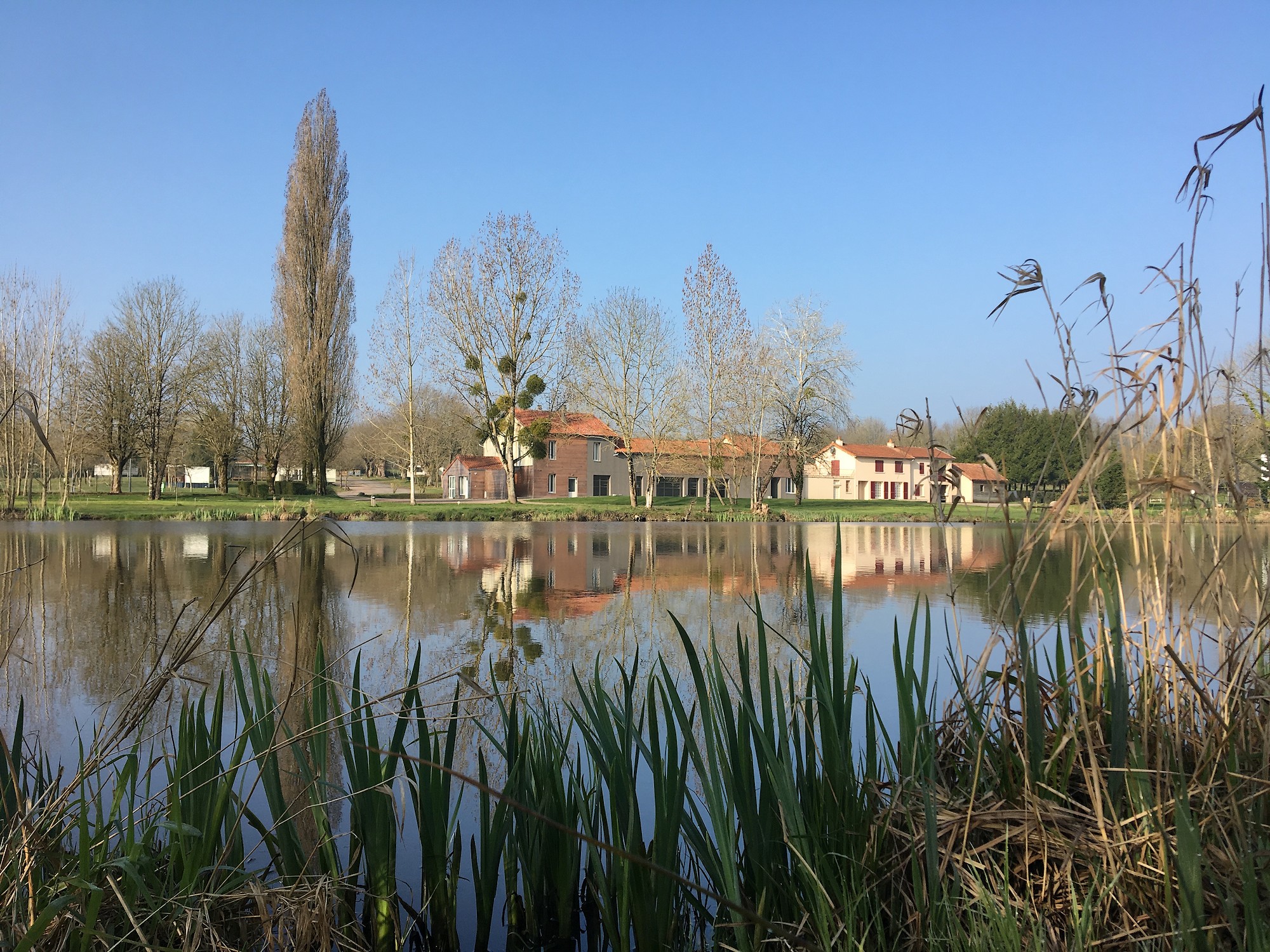Domaine des Sablières - Gîte Libellule, Moncoutant-sur-Sèvre - photo 11