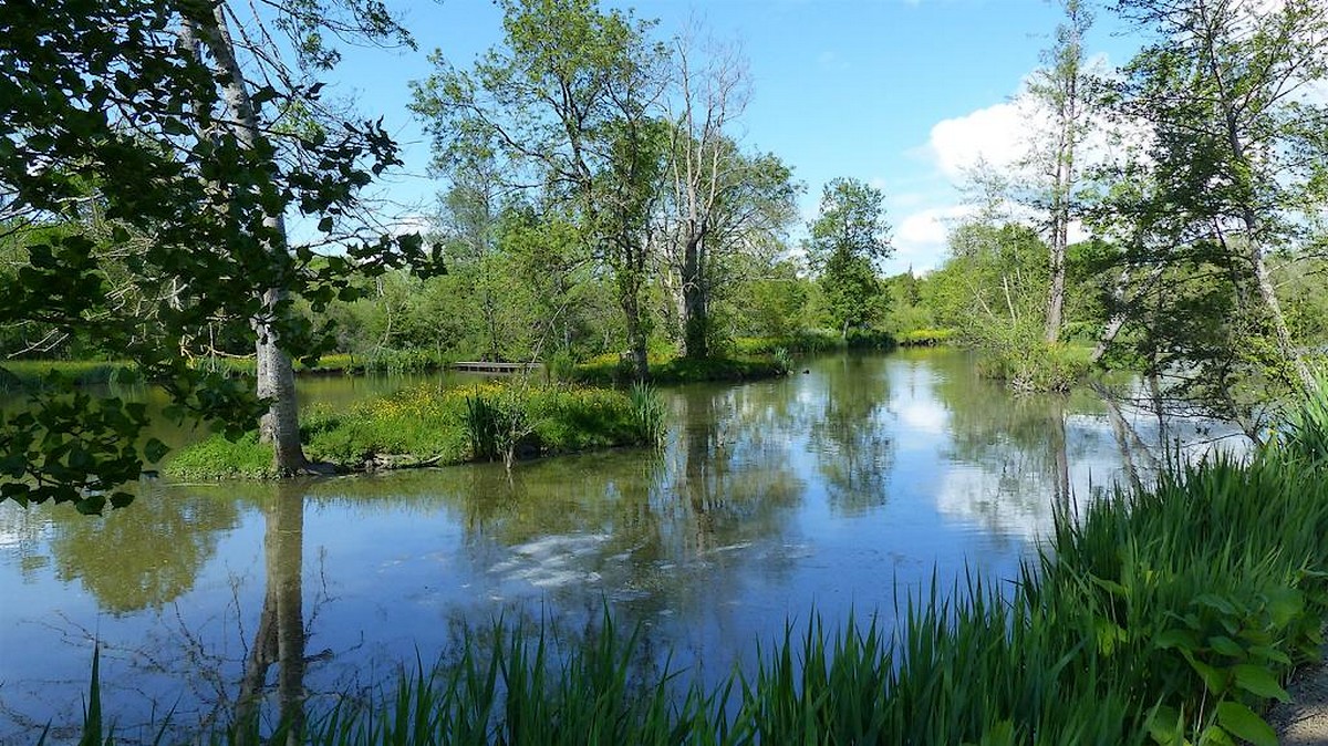Domaine des Sablières - Gîte Libellule, Moncoutant-sur-Sèvre - photo 7