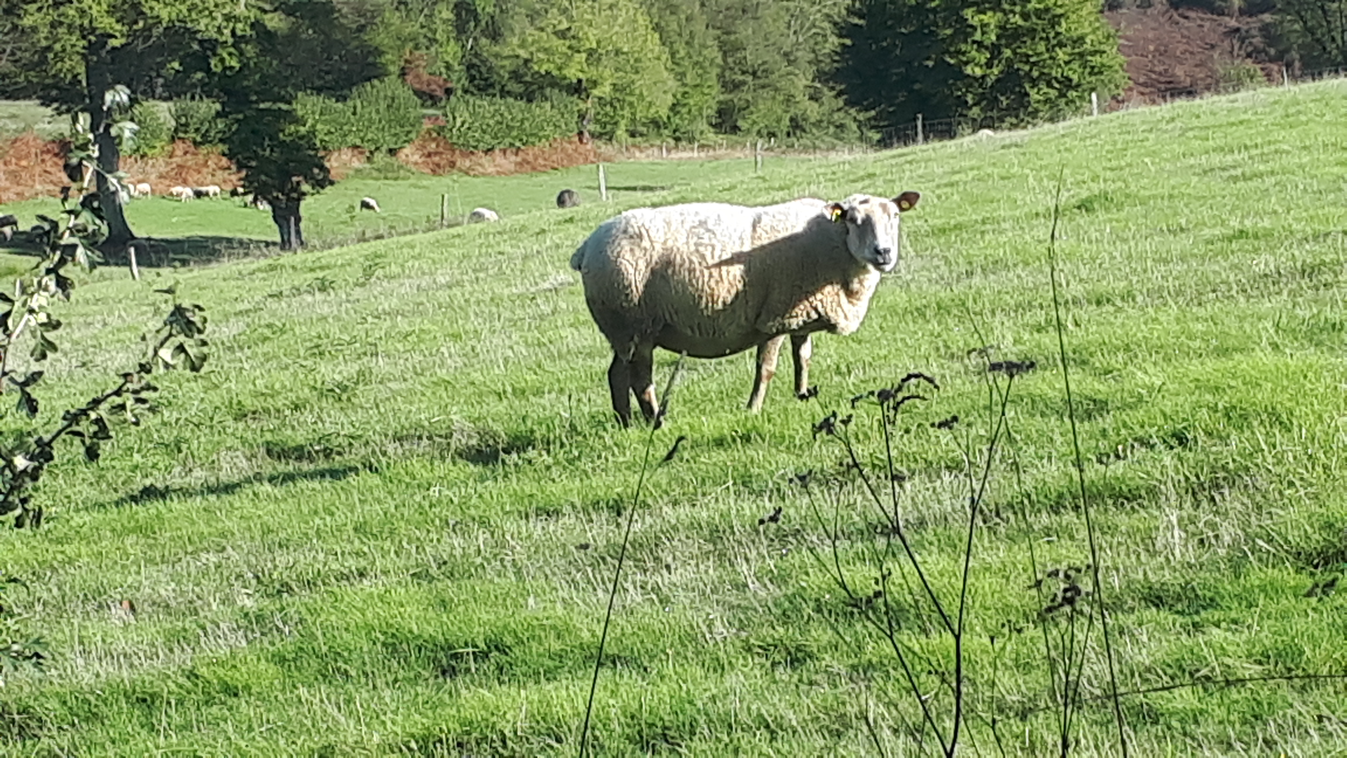 La Maisonnette des potiers - photo 3