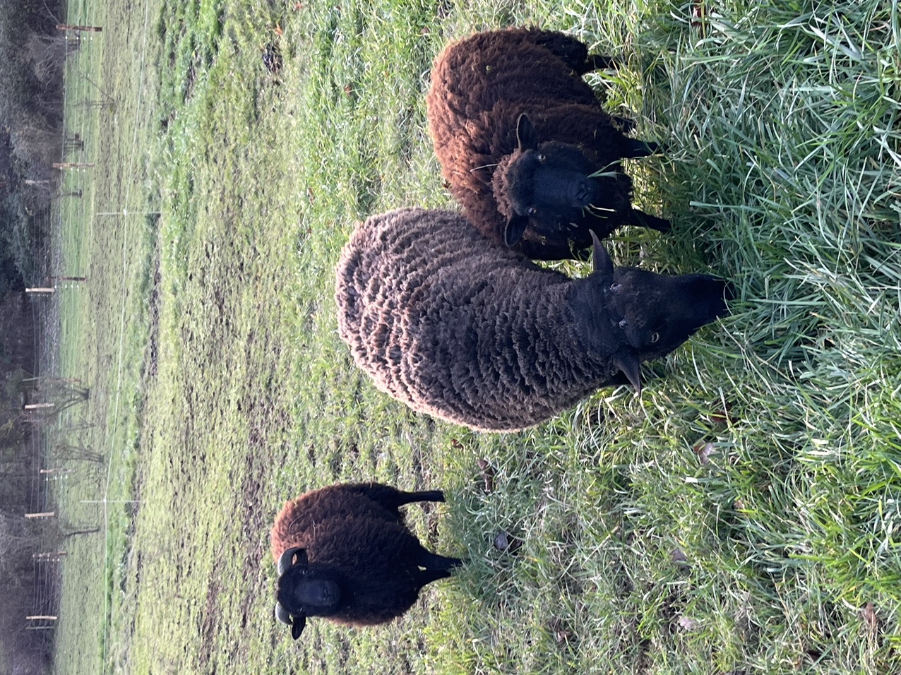 Gite Village du Domaine de Puy Le Comte - photo 2