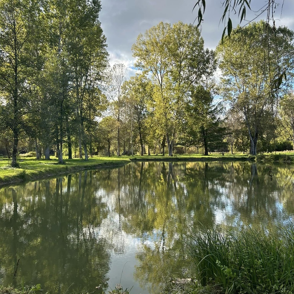 Multipêche Brouchaud