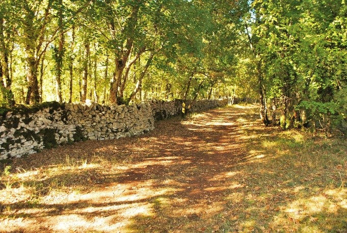 De Chartrier à Ferrière, Chartrier-Ferrière - photo 2