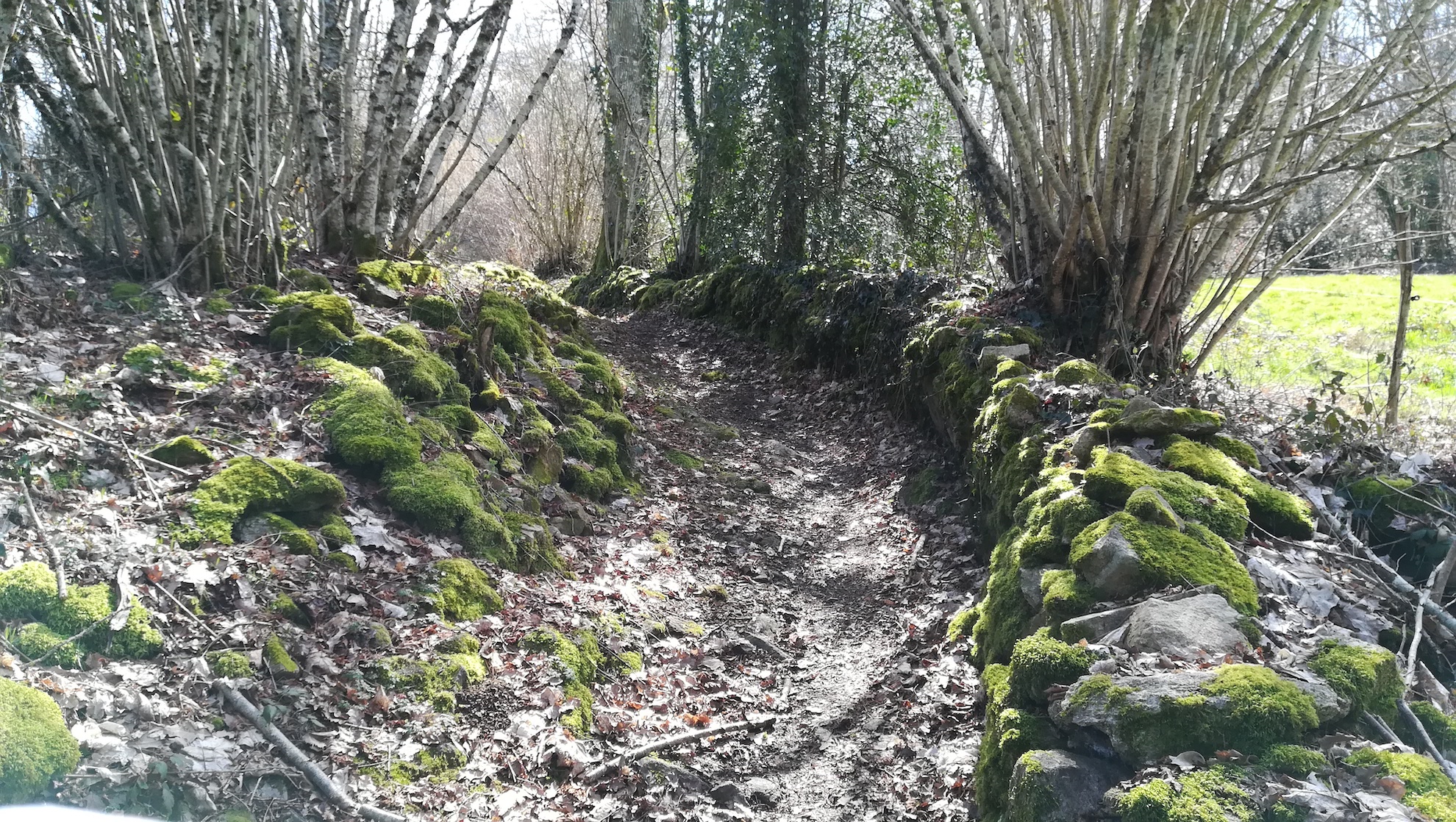 Sentier de Muret, Aureil - photo 2